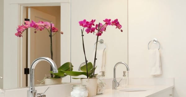 Jack and Jill Bathroom